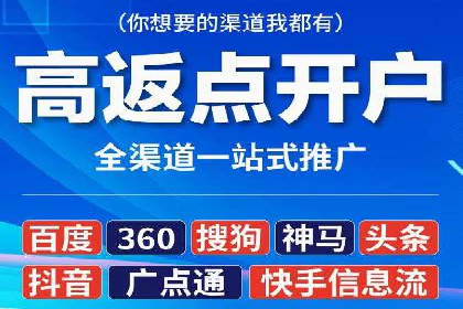 百度竞价代理的投放策略及某行业成功案例